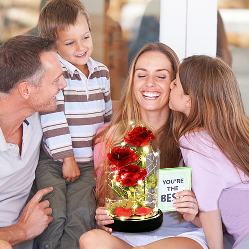 Dream of Flowers هدايا عيد الحب لها، زينة عيد الحب، زهور روز الجمال والوحش مع 40 ضوء LED في قبة زجاجية، زهور روز المسحورة هدايا عيد الحب لعيد ميلاد النساء، صديقة، أم، زوجة - Image 4